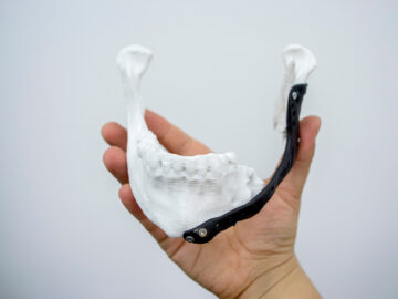 Modele anatomiczne – fundamentalne pomoc w edukacji i medycynie